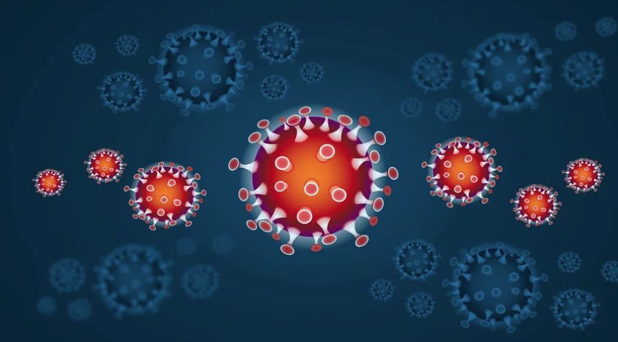 Información útil sobre el coronavirus